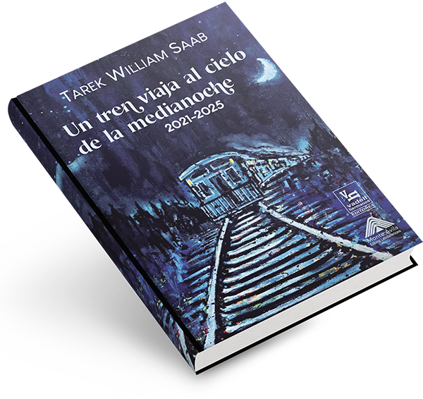 Libro Un tren viaja al cielo de la medianoche